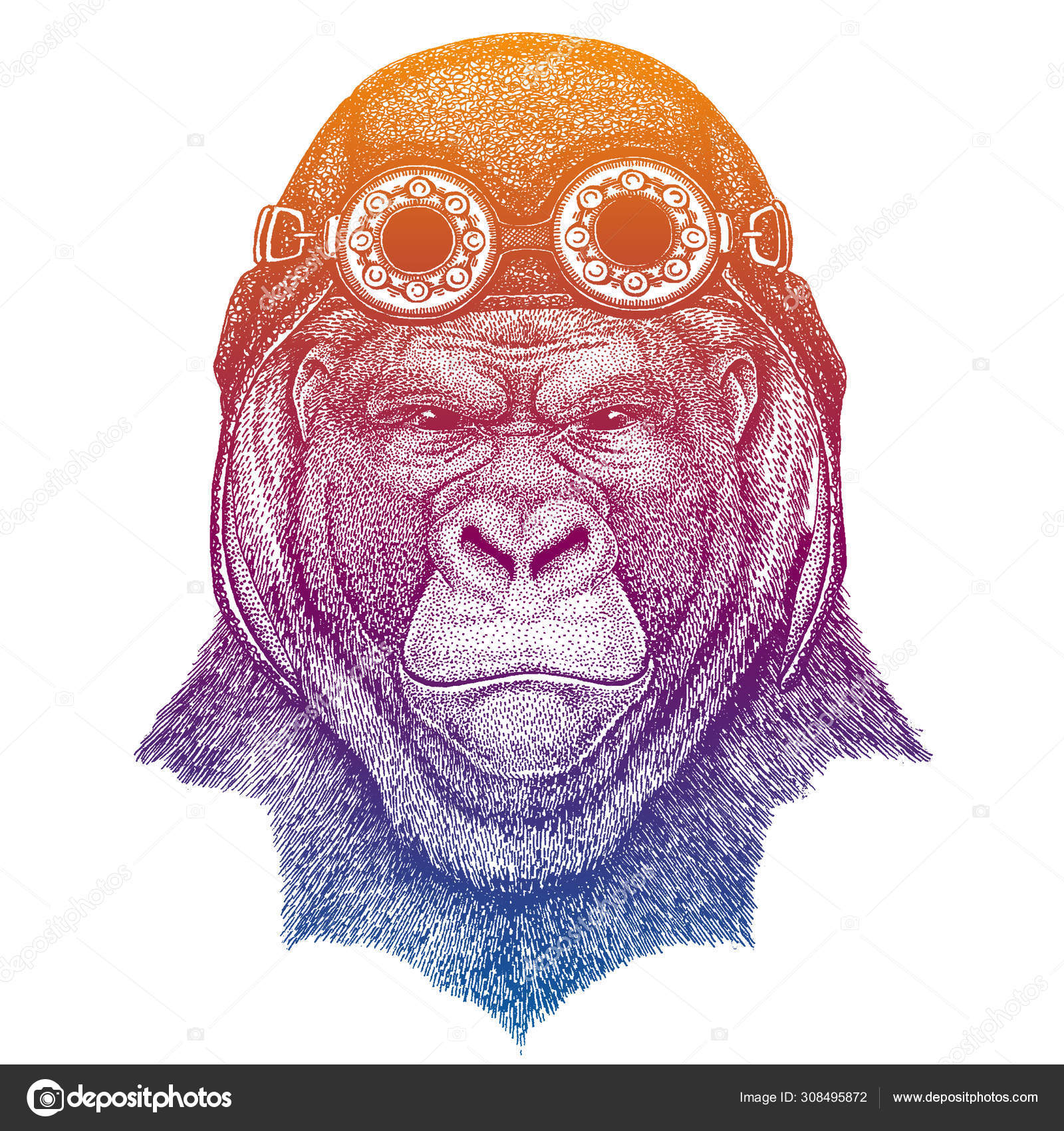 Vettoriale stockGorilla, scimmia, scimmia che indossa un casco vintage in  pelle di aviatore. Immagine in stile retrò. Flying club o motociclista  emblema. Illustrazione vettoriale, stampa per maglietta, patch logo  distintivo di ©Helen_F #, image size:1600x1700