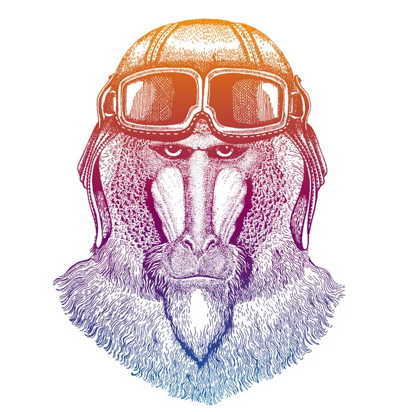 Monkey, baboon, dog-ape, ape wearing vintage aviator leather helmet. Image in retro style. Flying club or motorcycle biker emblem. Vector illustration, print for tee shirt, badge logo patch — Stock Vector