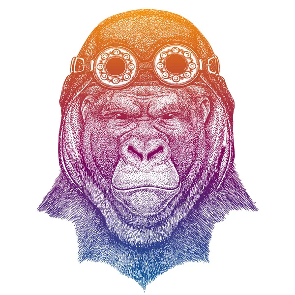 大猩猩，猴子，戴着老式飞行员皮革头盔的猿。复古风格的图像。飞行俱乐部或摩托车摩托车标志。矢量插图，T 恤印花，徽章徽标贴片 — 图库矢量图片