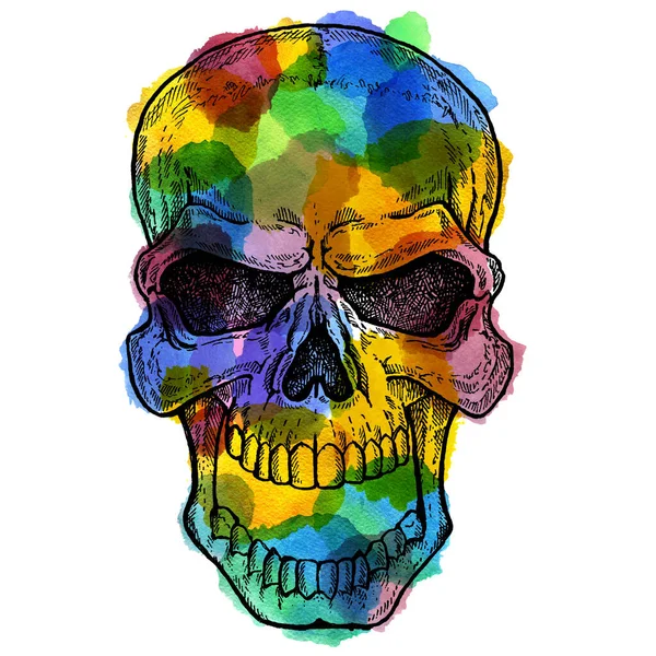 Crânio humano conceitual ilustração colorida com manchas aquarela. Halloween, camiseta imprimir . — Fotografia de Stock