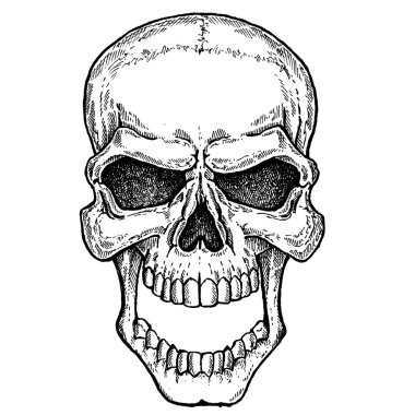 Suluboya lekeli kavramsal insan kafatası renkleri. Cadılar Bayramı, tişört baskısı.