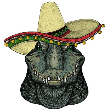 Timsah. Meksika şapkalı Sombrero. Afro saldırgan bir hayvanın portresi.