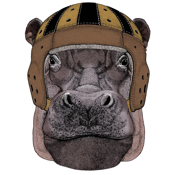 Portrait of hippopotamus, hippo. Rugby leather helmet. Wild african animal. — Stock Vector