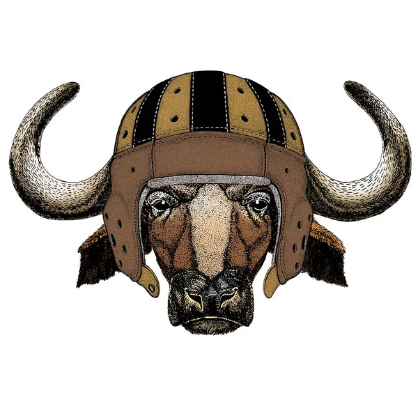 Retrato de búfalo, bisonte, touro, vaca. Capacete de couro rugby. Cara de animal . —  Vetores de Stock