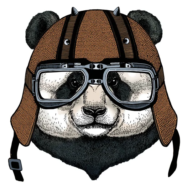 パンダ、竹クマの肖像画。かわいい動物の顔。熊頭だ。オートバイのヘルメット. — ストックベクタ