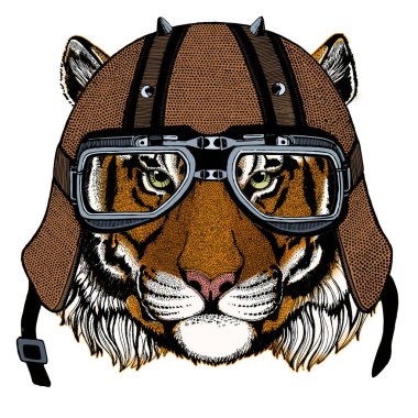 Kaplan portresi. Vahşi kedi kafası. Motosiklet kaskı.