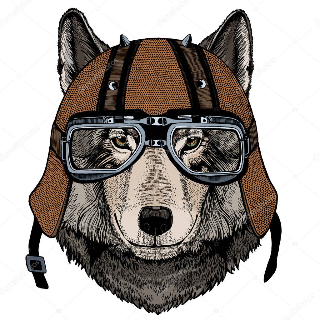 Motorcycle helmet. Mascot, character Face of wild animal.
