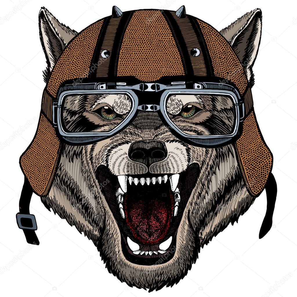 Motorcycle helmet. Mascot, character Face of wild animal.