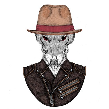 Vahşi fare portresi. Hayvan kafası.