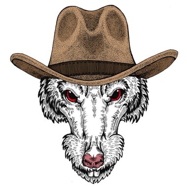 Vahşi fare portresi. Hayvan kafası.