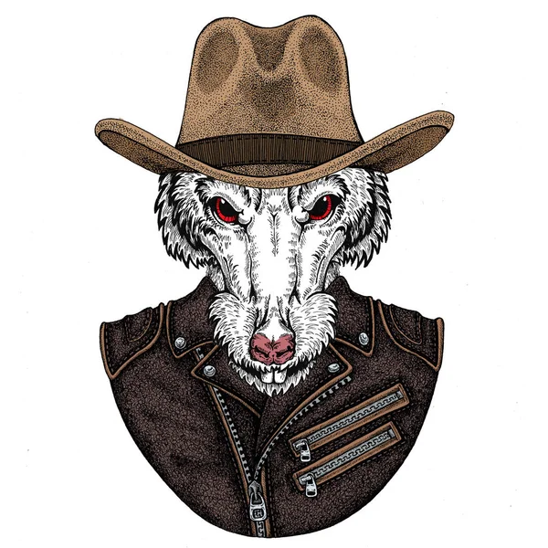 Vahşi fare portresi. Hayvan kafası.