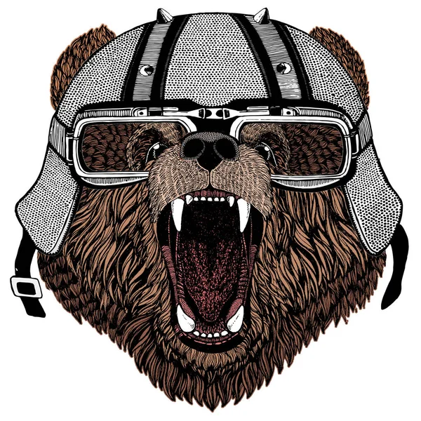 Dziki niedźwiedź. Portret zwierzęcia na godło, logo, koszulka. Kask motocyklowy. — Wektor stockowy