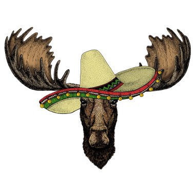 Geyik kafası. Meksika şapkalı Sombrero. Komik bir hayvanın portresi.