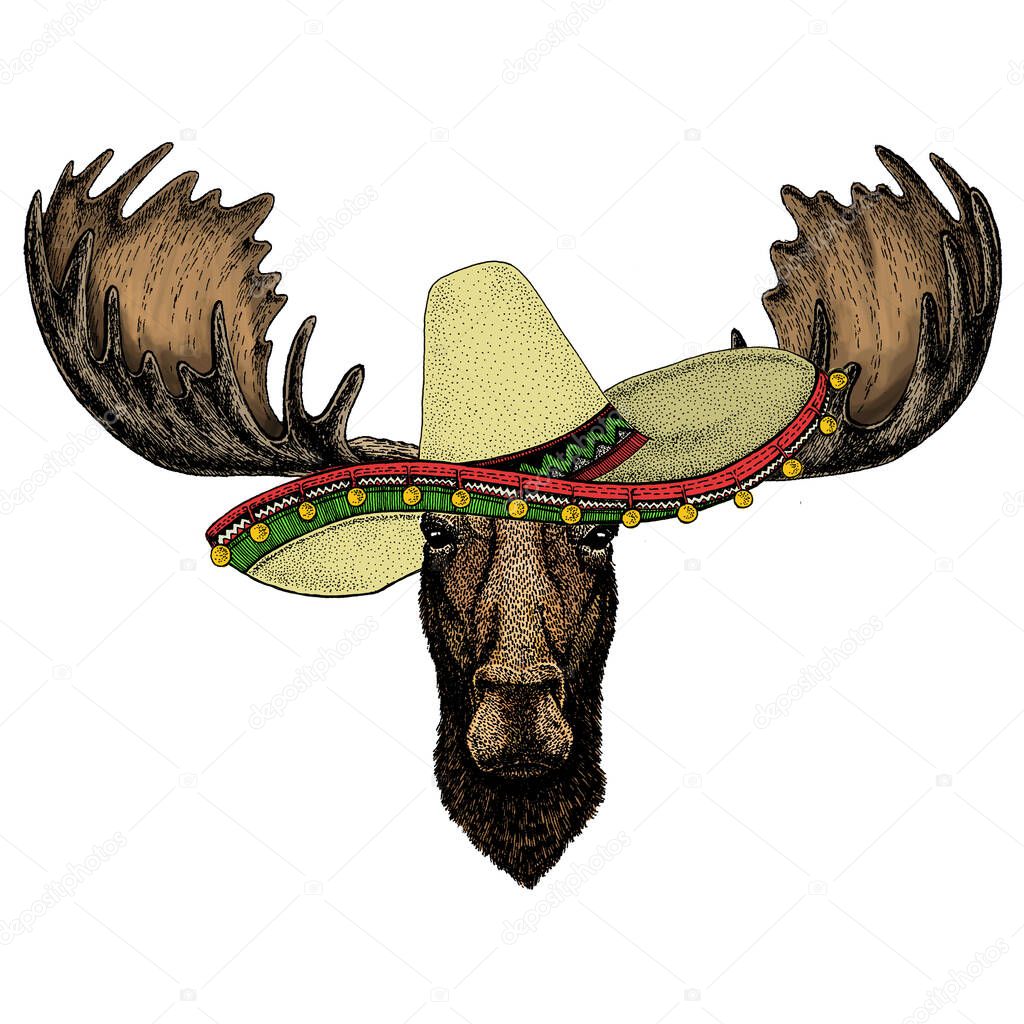 Sombrero mexican hat. Portrait of animal. Mascot character
