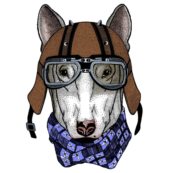 Bullterriër, hond. Portret van een tekenfilmdier. Motorhelm. — Stockvector