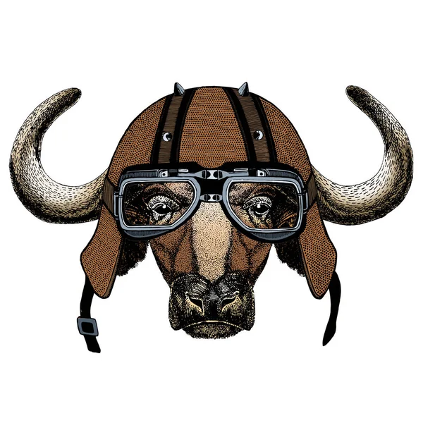 Portrait of buffalo, bison, bull, cow. Face of animal. Motorcycle helmet. — Stock Vector