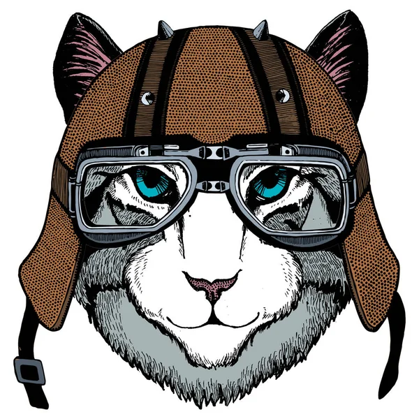 Visage de chat domestique. Portrait d'animal. Casque de moto. — Image vectorielle