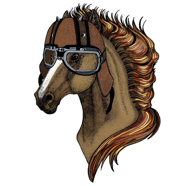 Caballo, caballo, corcel. Retrato de animal salvaje. Casco de moto. — Vector de stock