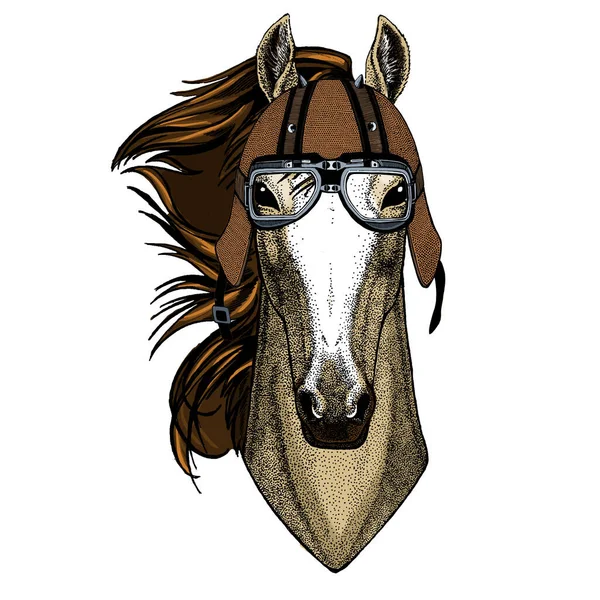 馬、馬、馬、コース。野生動物の肖像画。オートバイのヘルメット. — ストックベクタ