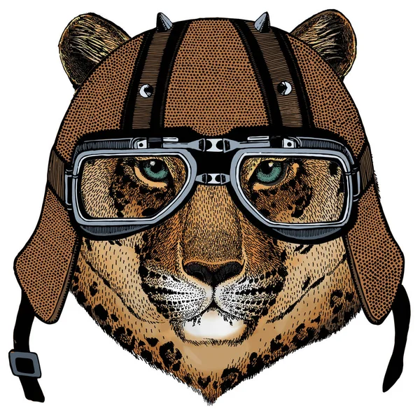 Leopardo, cara de jaguar. Retrato de animal salvaje. Casco de moto. — Archivo Imágenes Vectoriales