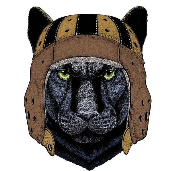 Чорна пантера, пума. Шкіряний шолом регбі. Голова тварин. Портрет дикої кішки . — стоковий вектор