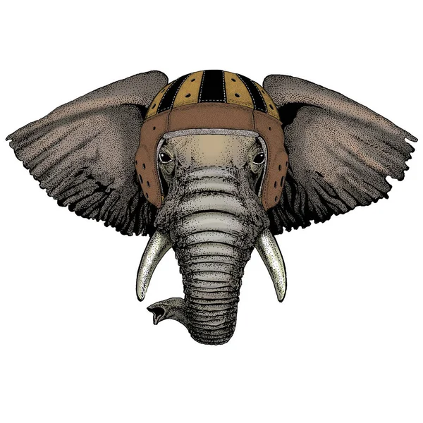 Голова слона. Кожаный шлем регби. Портрет диких животных. — стоковый вектор