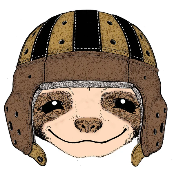 Retrato de pereza. Casco de cuero rugby. Cara de animal lindo. — Vector de stock