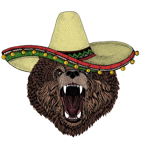 야생 곰. 솜브레로 멕시코 모자야. 상징, 로고, 티 셔츠에 대한 동물의 형상. — 스톡 벡터