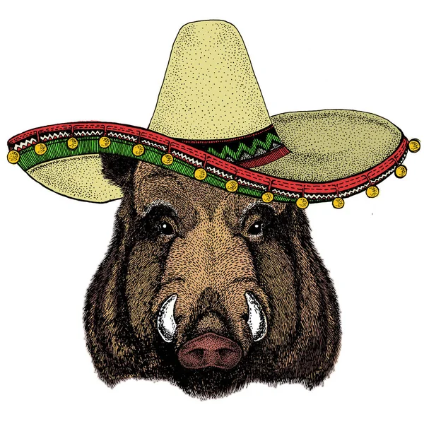 Retrato de porco selvagem, javali, porco. Chapéu mexicano sombrero. Rosto de animal corajoso . —  Vetores de Stock