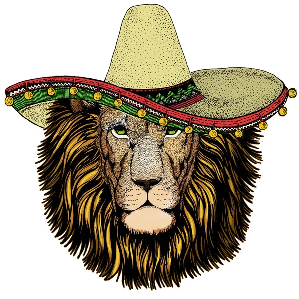 ライオン頭だ。メキシコ風の帽子だ。野生動物の肖像画。アフリカ猫の顔. — ストックベクタ