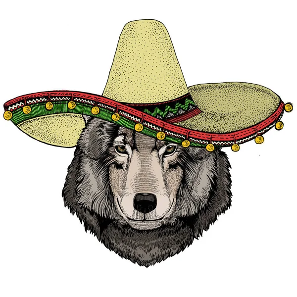 Retrato de lobo. Sombrero sombrero mexicano. Cabeza de animal salvaje. — Foto de Stock