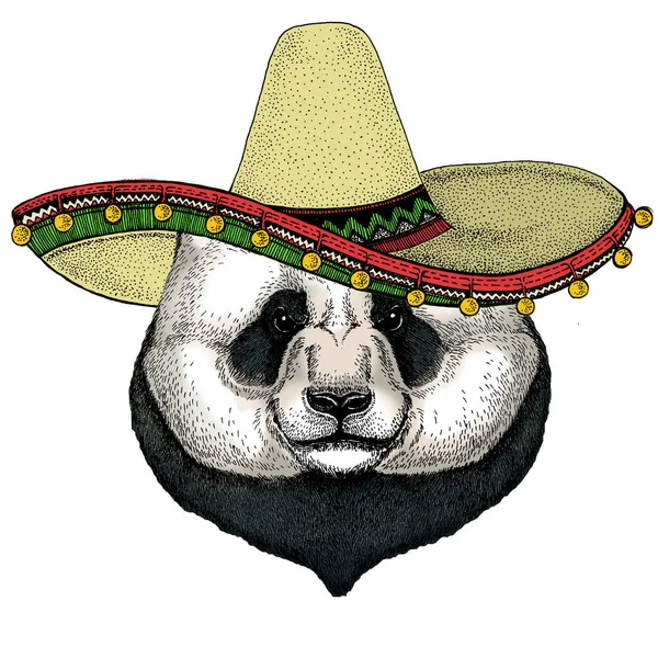 Big panda, bamboo bear portrait. Sombrero mexican hat. Face of cute animal. Bear head. — Stock Vector