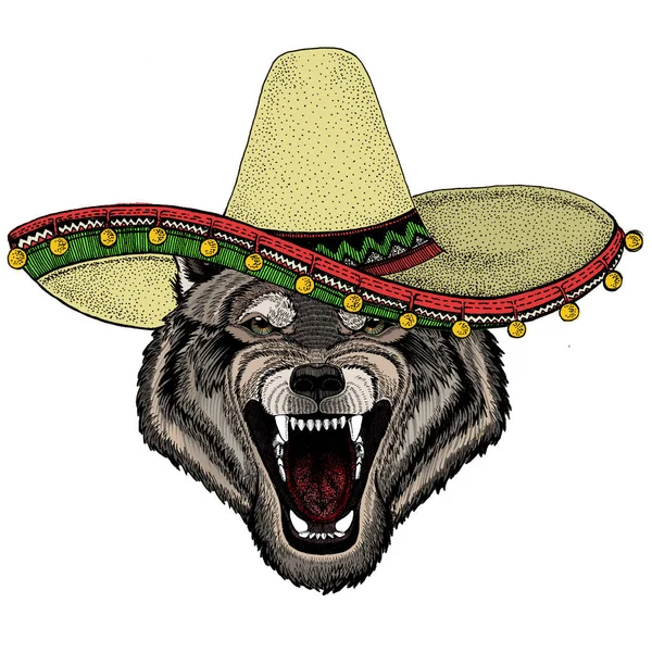 Portrait de loup. Chapeau sombrero mexicain. Tête d'animal sauvage. — Image vectorielle