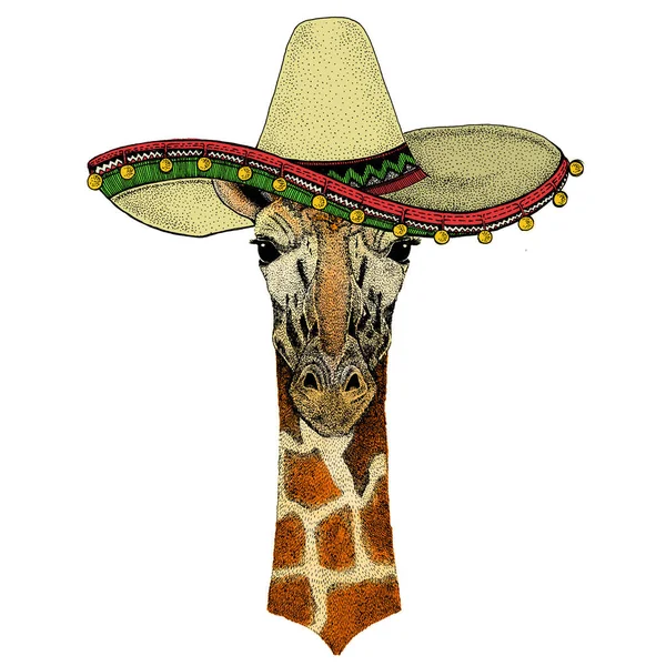 Cabeza de jirafa. Sombrero sombrero mexicano. Retrato de animal salvaje. — Vector de stock