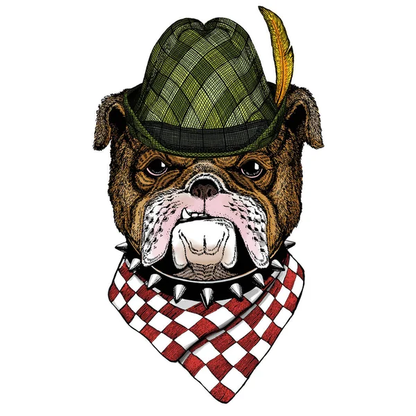 Bulldog, cão. Chapéu de tirol bávaro austríaco. Festival da cerveja. Oktoberfest . — Vetor de Stock