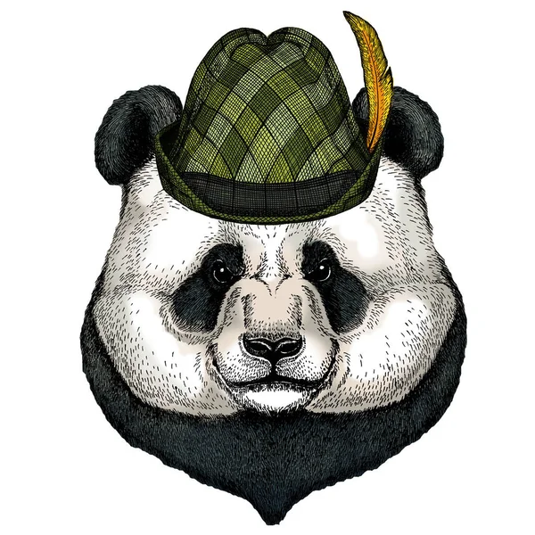 Büyük panda, bambu ayı portresi. Avusturya bavyera tirol şapkası. Bira festivali. Ekim Festivali.
