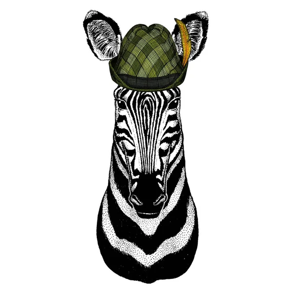 Zebra portrait. Austrian bavarian tirol hat. Beer festival. Oktoberfest. Head of wild animal. — Stock Vector