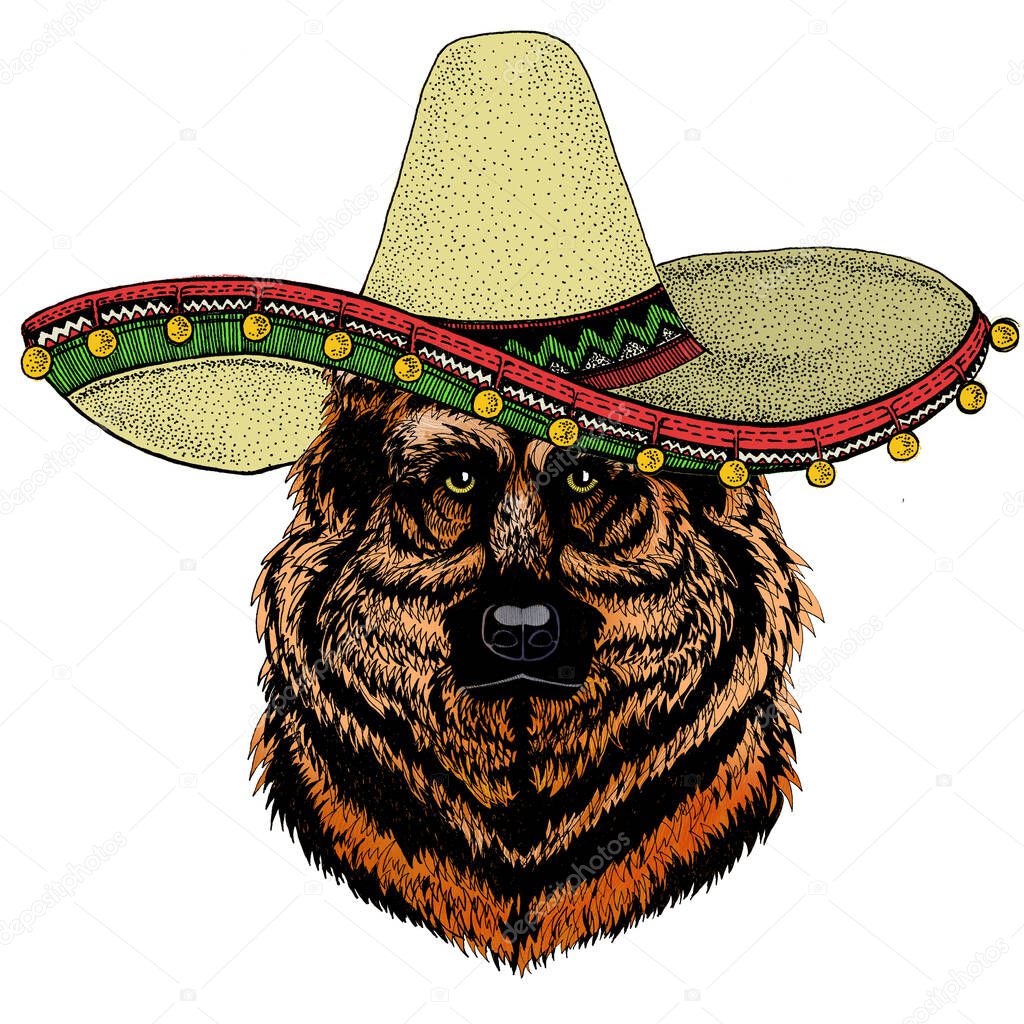Sombrero mexican hat. Portrait of animal. Mascot character