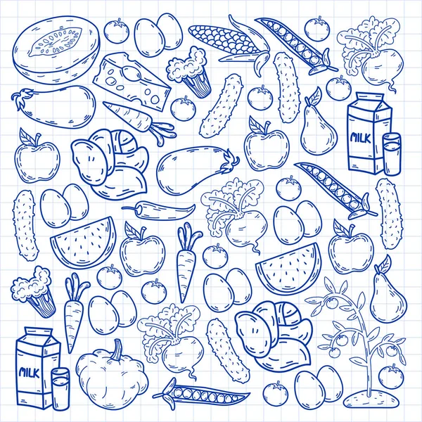 벡터의 패턴. 건강 한 생태계 유기농 식품. 채소, 과일, 유제품, 우유. 선형 그래픽. — 스톡 벡터
