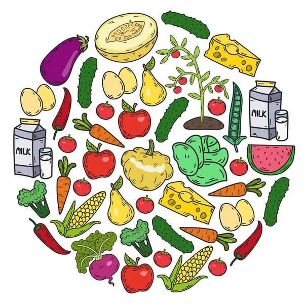 Vektör deseni. Sağlıklı ekolojik organik gıda. Sebze, meyve, süt, süt. Doğrusal grafik.