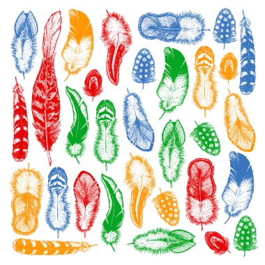 Etnik tüy seti. Dekorasyon tasarımı. Kuş tüyü, boho şıklığı. Kabile süsü deseni.