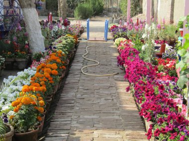 Ev bahçesinde çiçekler ve sanat