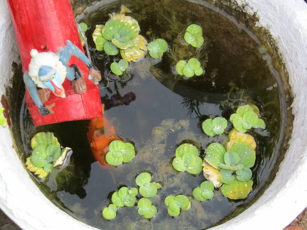 Arte Para Hogar Jardín — Foto de Stock