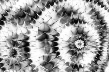 Siyah ve beyaz fraktal.