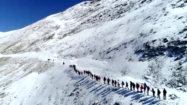 Climbers group in chain goes up snowy mountain slope to top. Drone aerial shot — Stock Video
