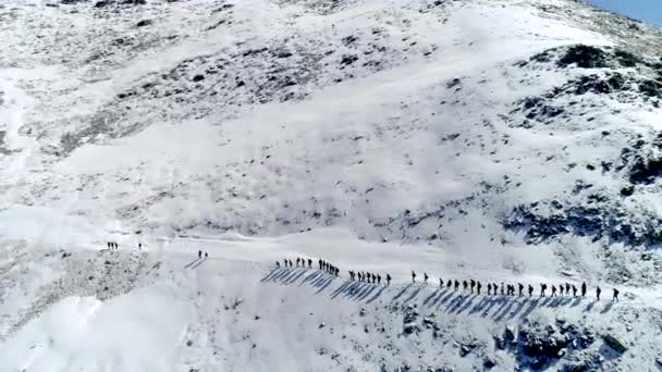 Большая команда туристов поднимается в одном ряду в зимние снежные горы. Воздушный. Дрон — стоковое видео