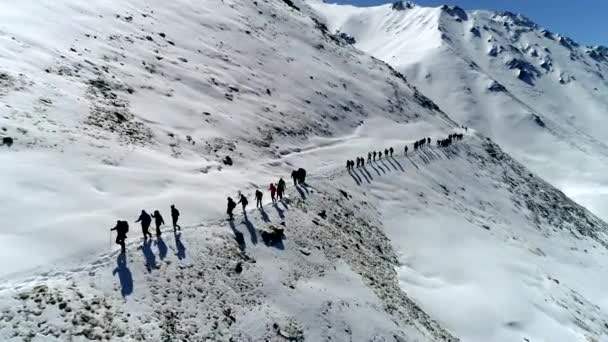 Flug über die Bergsteigergruppe in einer Reihe. Drohnenabschuss. — Stockvideo