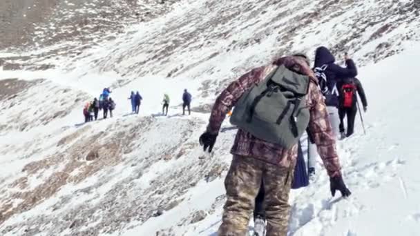 Trabajo en equipo turistas ir en la nieve en invierno escalada superior montañas rocas equipo pico — Vídeos de Stock
