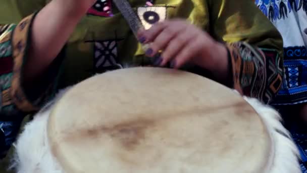Bateristas manos en un djembe africano tambor instrumento musical ritmo étnico Primer plano — Vídeo de stock