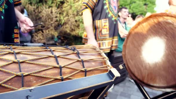 L'uomo gioca con le bacchette sulla pelle delle mucche djembe africane — Video Stock